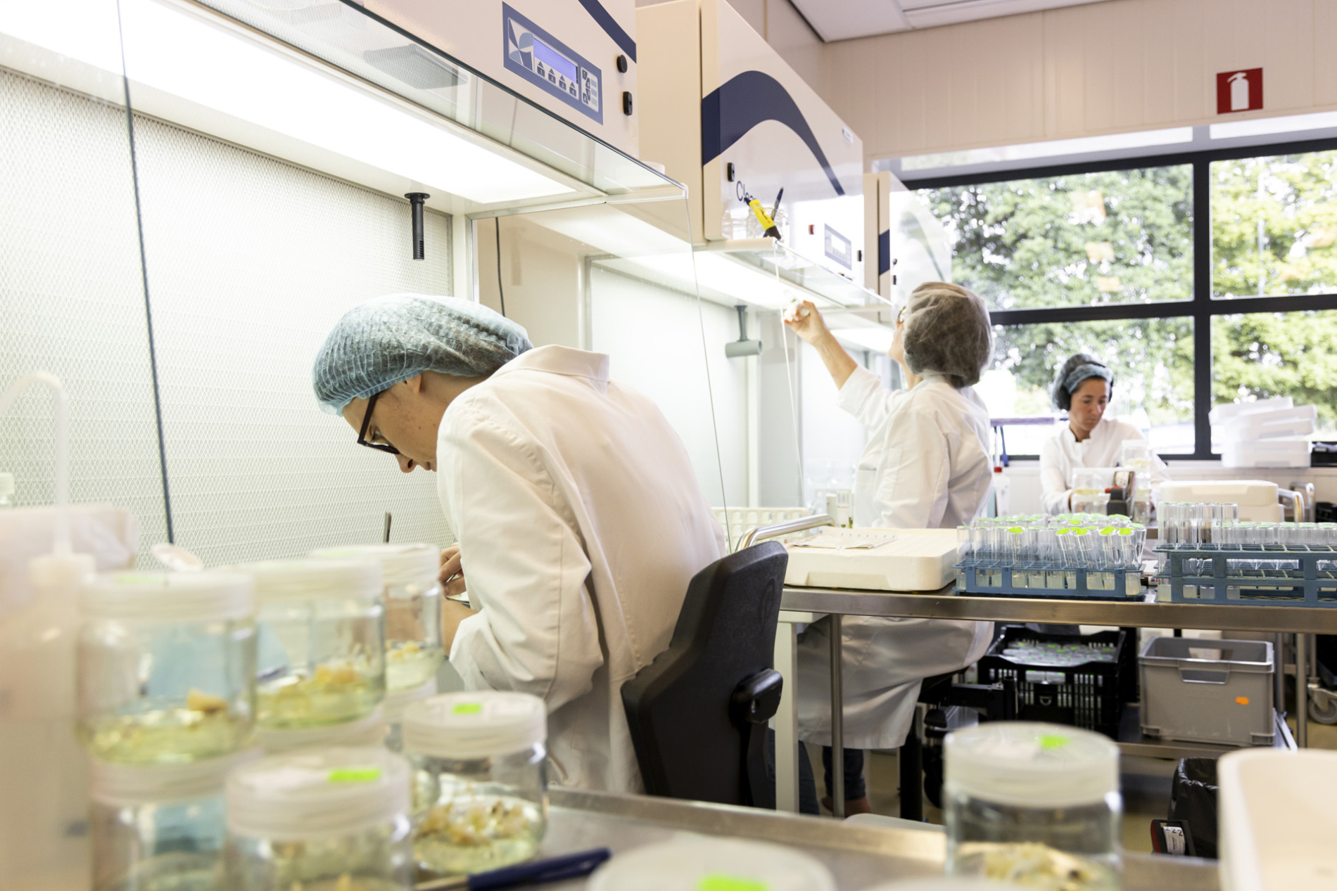 HilverdaFlorist laboratory employees working on plant genetics