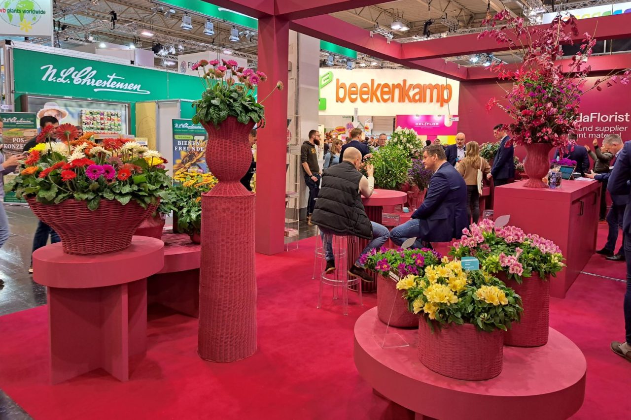 Recap: HilverdaFlorist at IPM Essen 2024 - HilverdaFlorist HilverdaFlorist