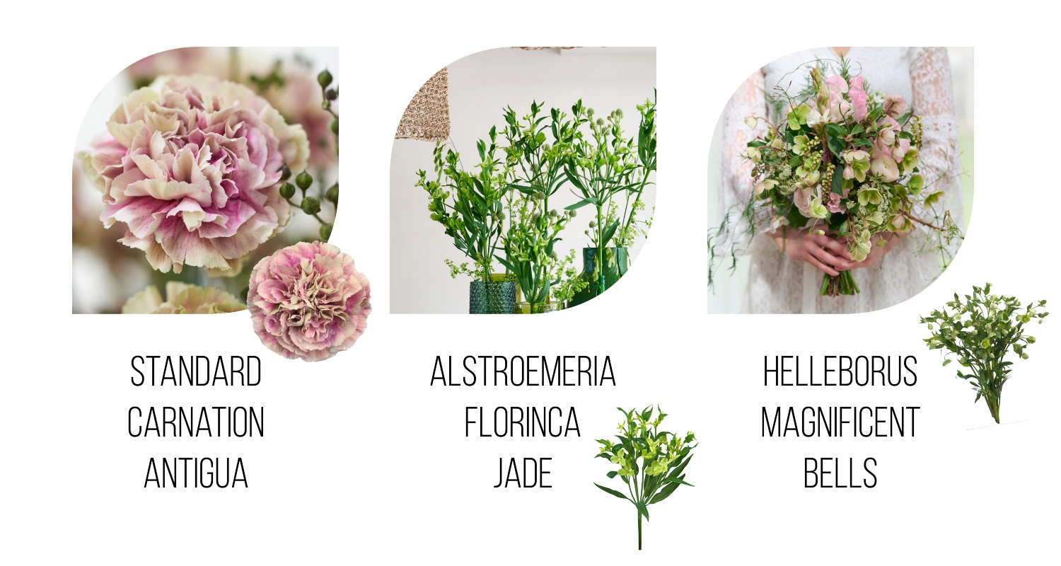 Wedding flowers Antigua - Jade - Magnificent Bells