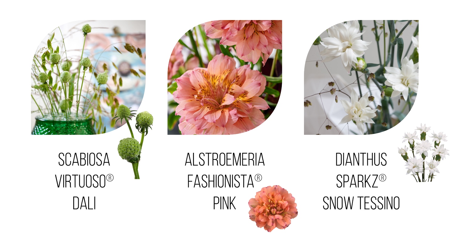 Wedding flowers Dali - Fashionista Pink - Snow Tessino