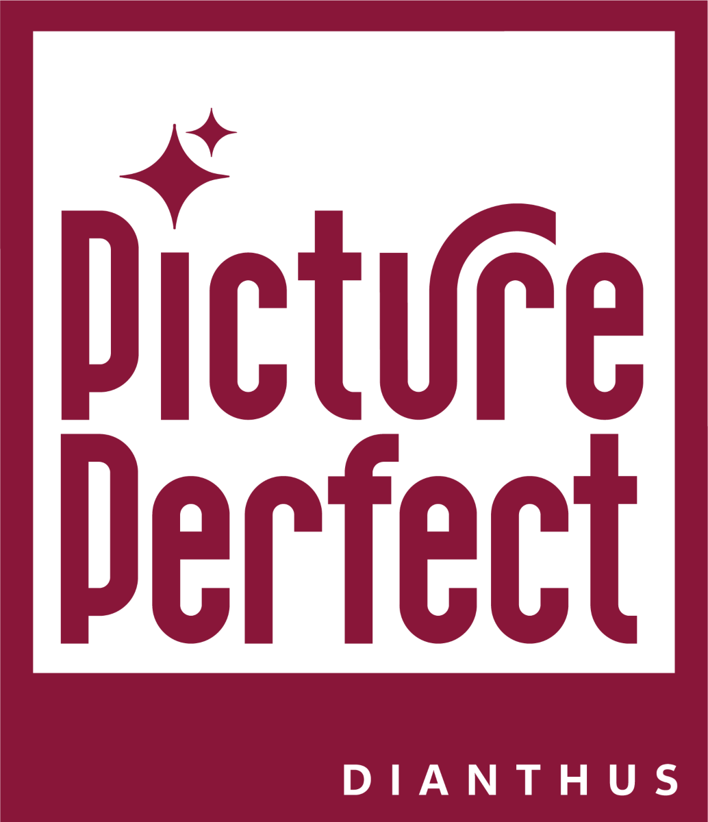 Picture Perfect_logo_full