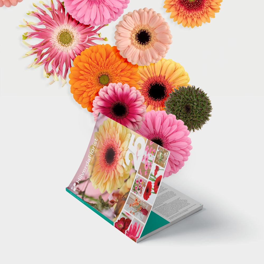 Gerbera cat-2025_mockup_SQUARE