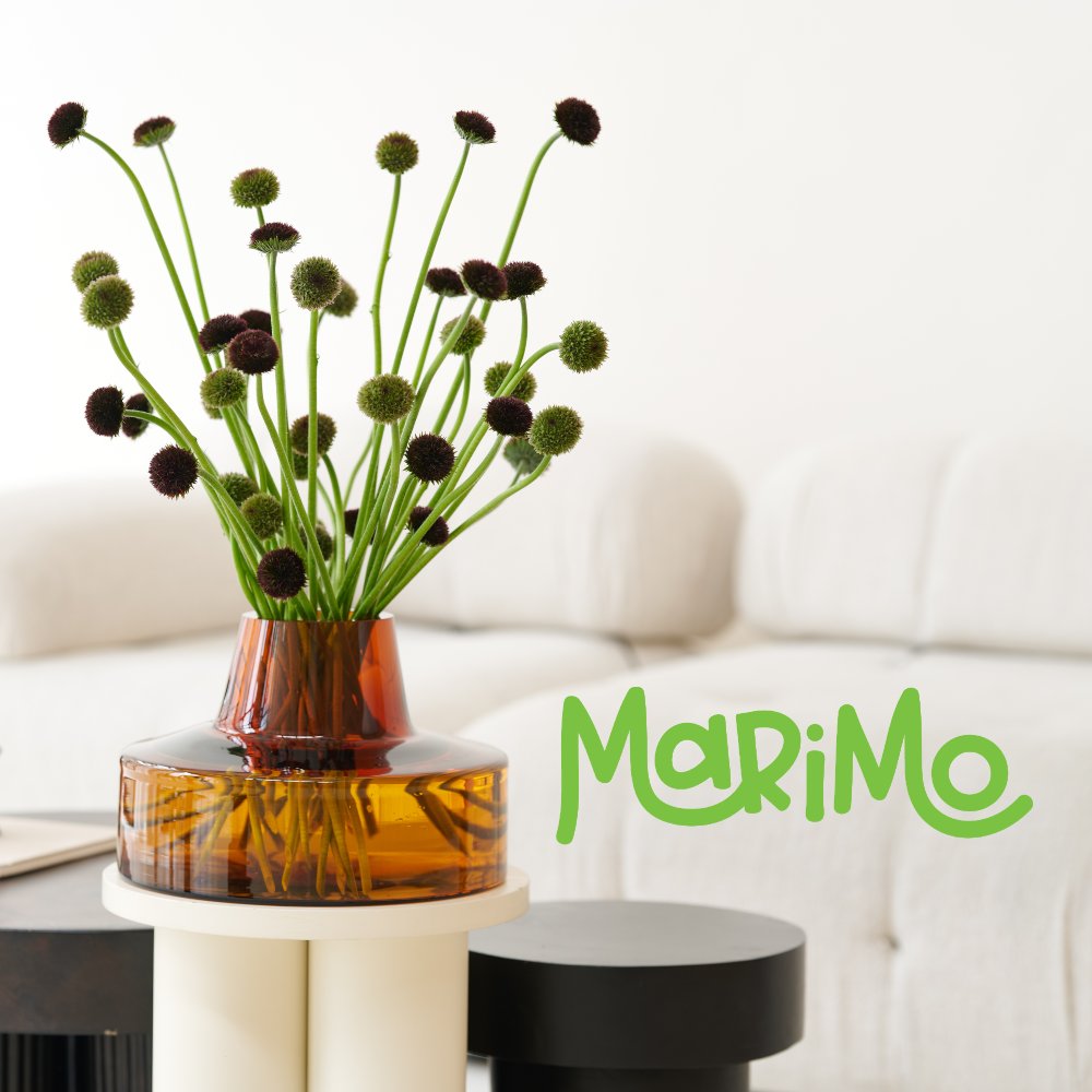 HilverdaFlorist-Gerbera-Marimo-Series