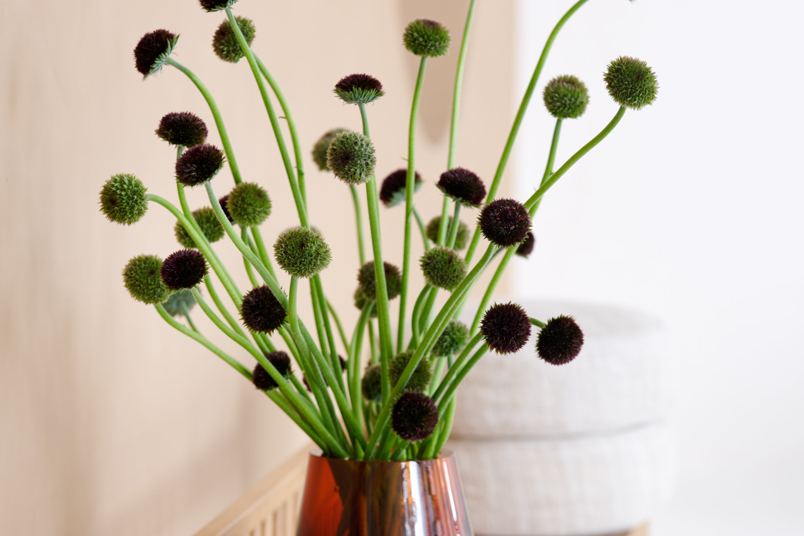 HilverdaFlorist-Gerbera-Marimo-Mix-1