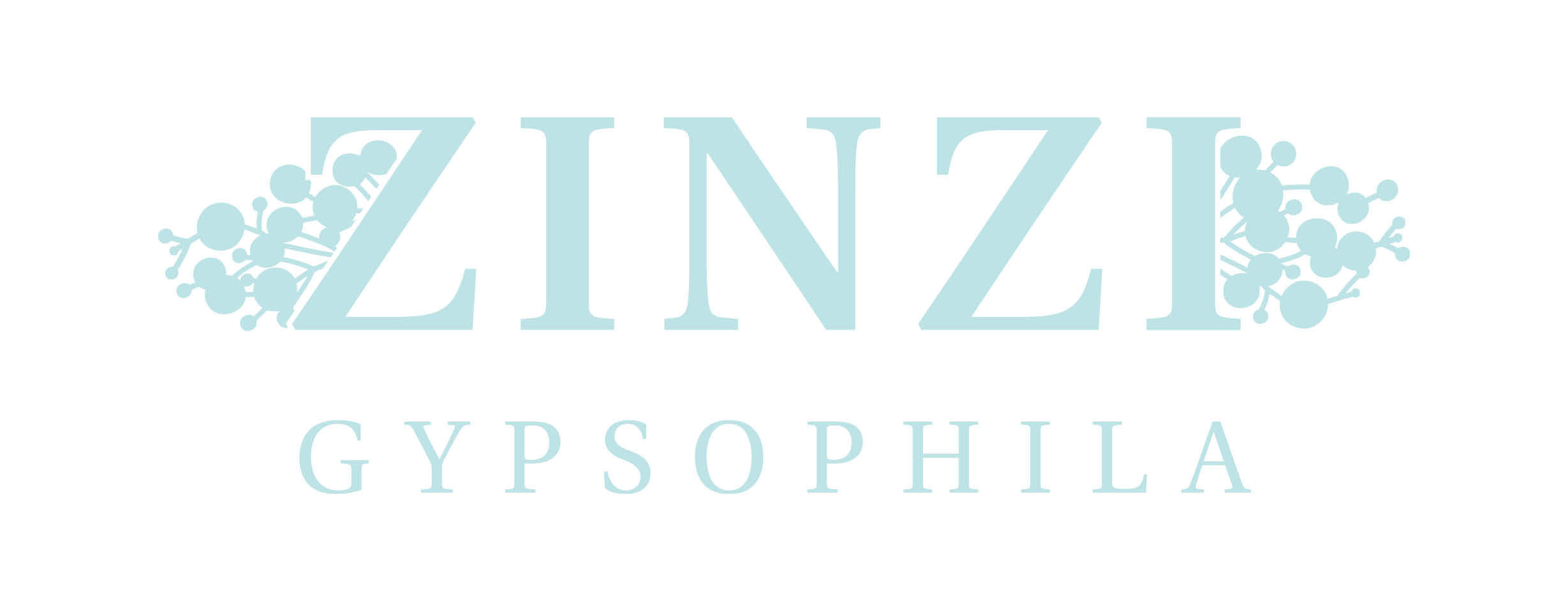 zinzi logo