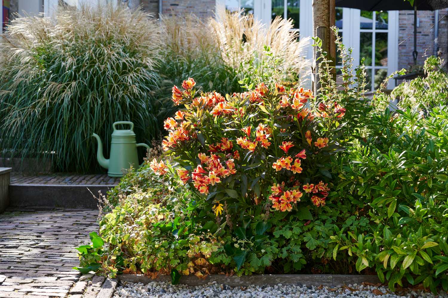 HilverdaFlorist-Summer Paradise-Summer Series-Indian Summer cottage garden